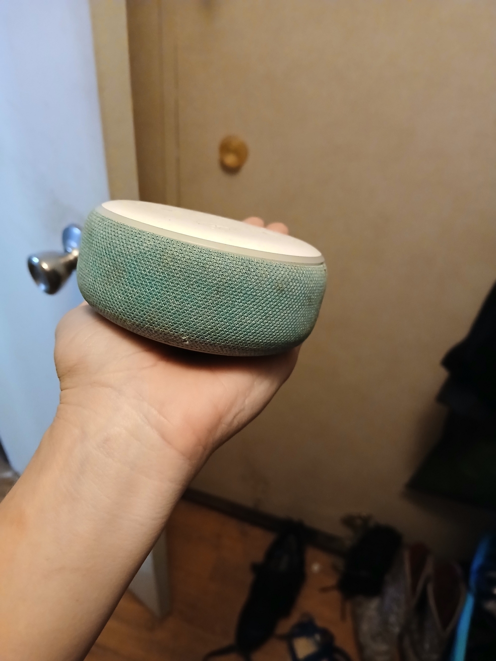 Portable Smart Speaker in Mint Green